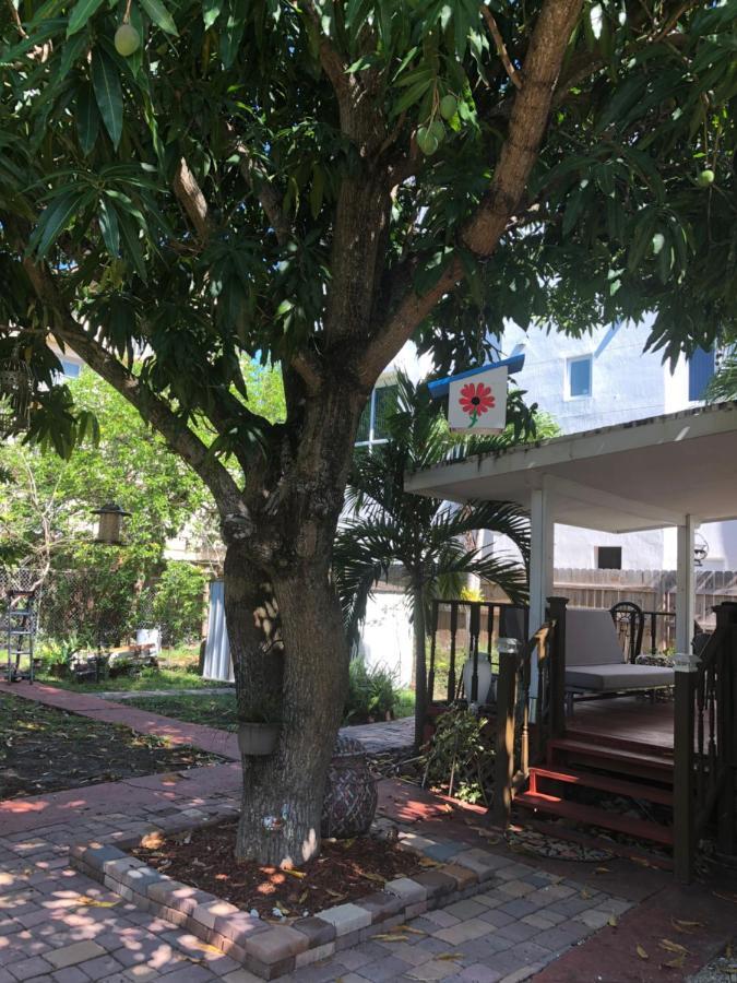 Cozy In The Heart Of Little Havana Habitación en casa particular *